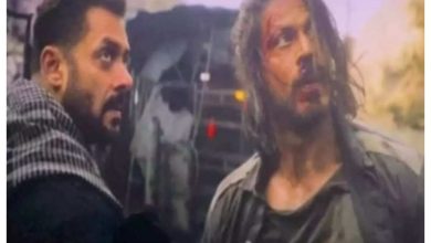 تایگر در مقابل پاتان