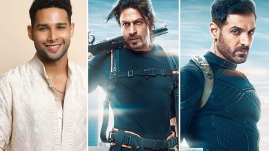 سیدانت چاتورودی