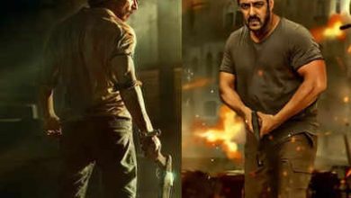 شاهرخ خان و سلمان خان در تایگر 3