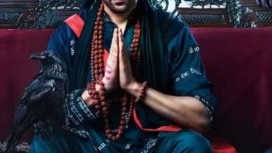 فیلم بول بولیا 3 کارتیک آریان